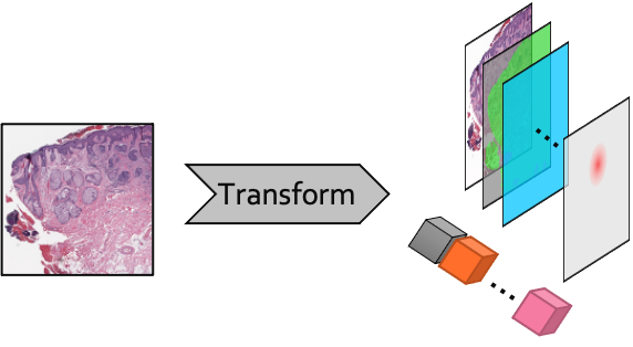 schematic diagram of Transform